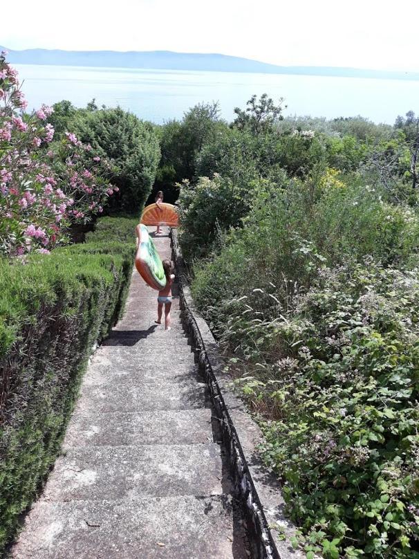 Lavandula Labin (Istria) Exterior foto
